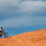 Coyote Run 7