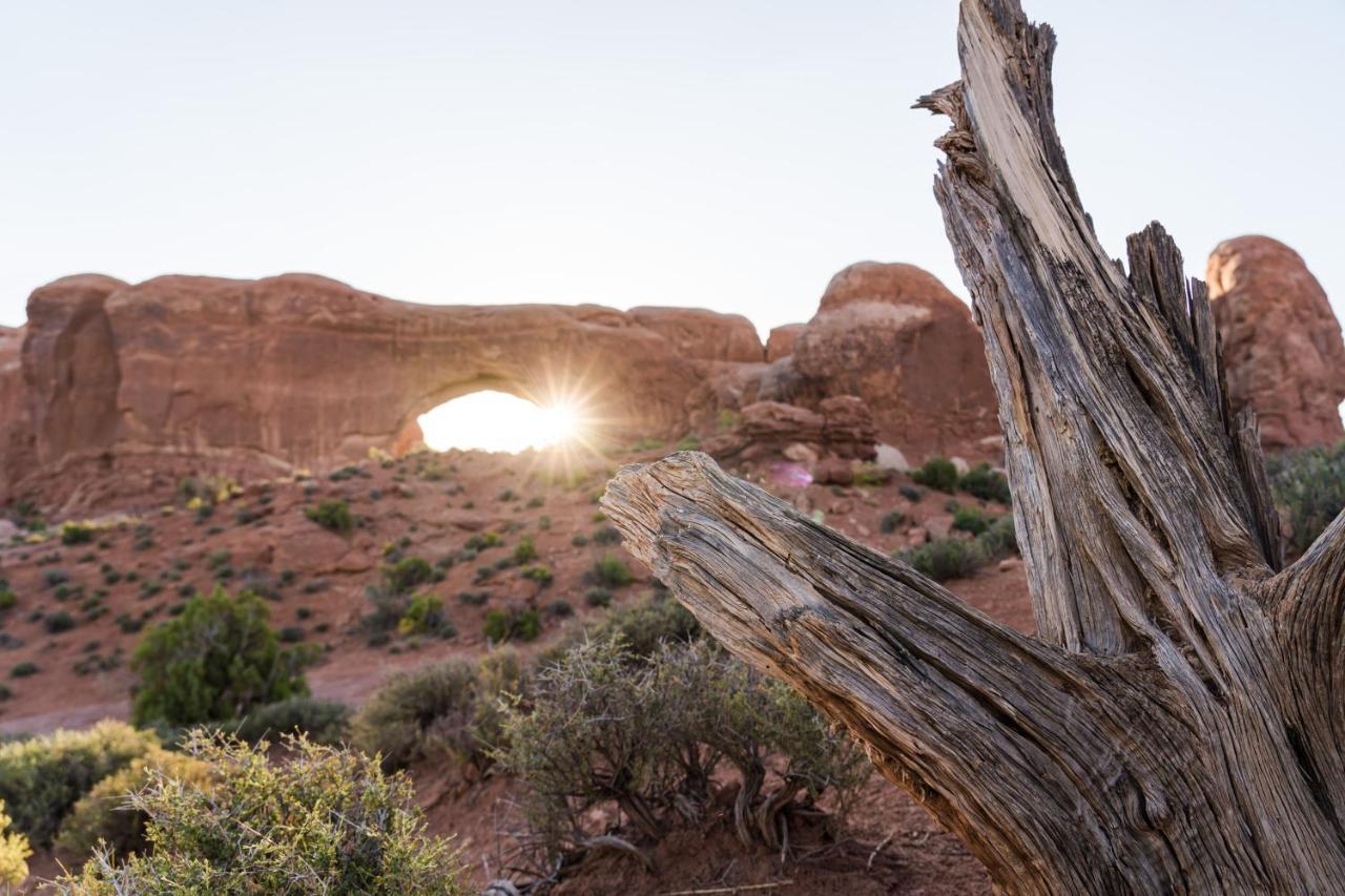 Luxury tent Under Canvas Moab