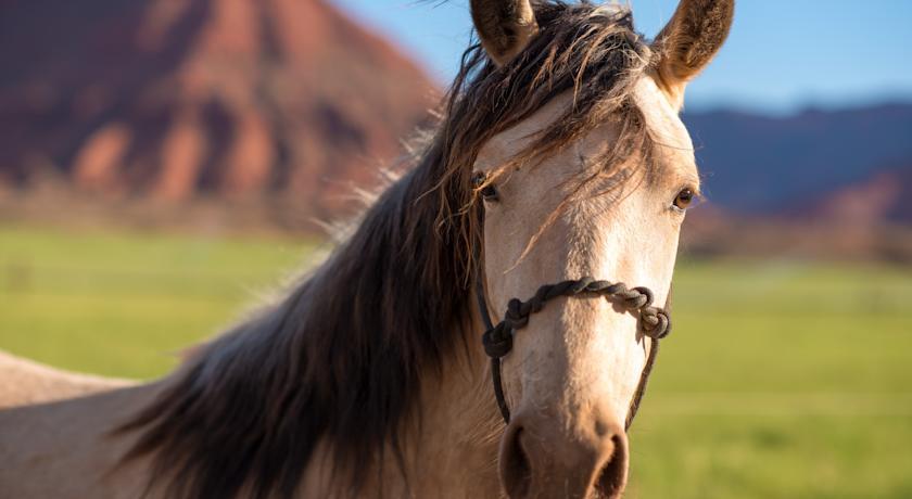 Sorrel River Ranch & 4* Moab