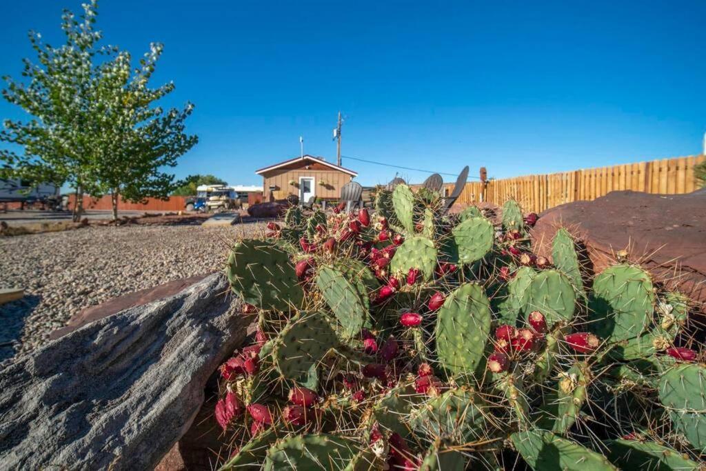 Redrock Tiny House W Loft Site 7 Holiday home *