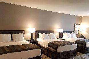 Wingate By Wyndham Hotel