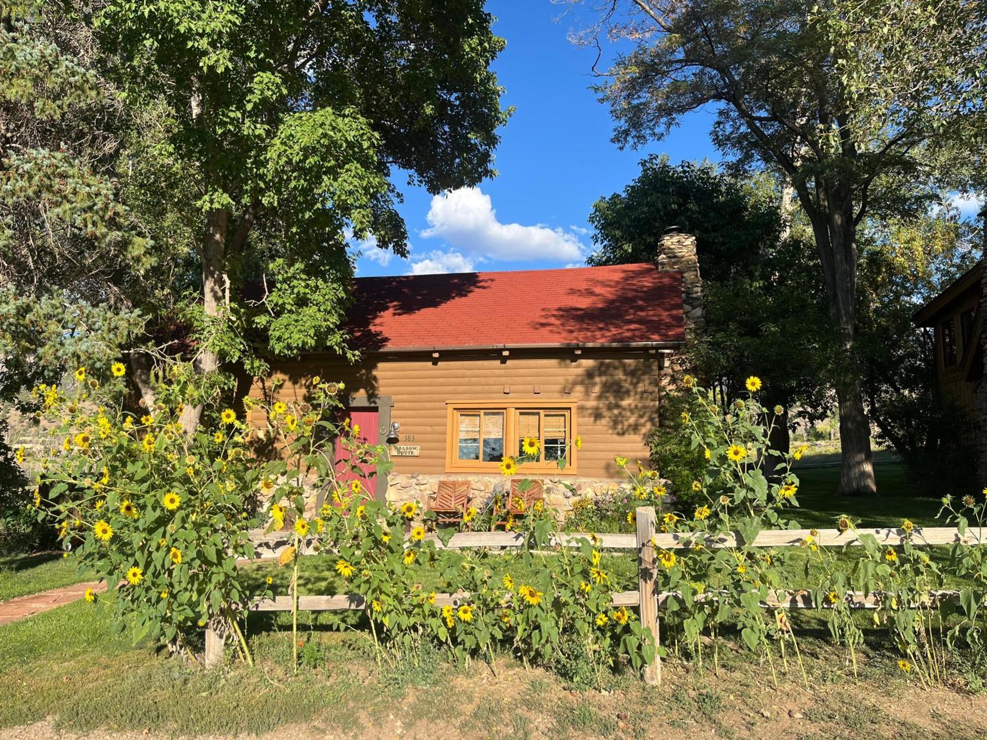 Pack Creek ~ Meadow House Holiday home