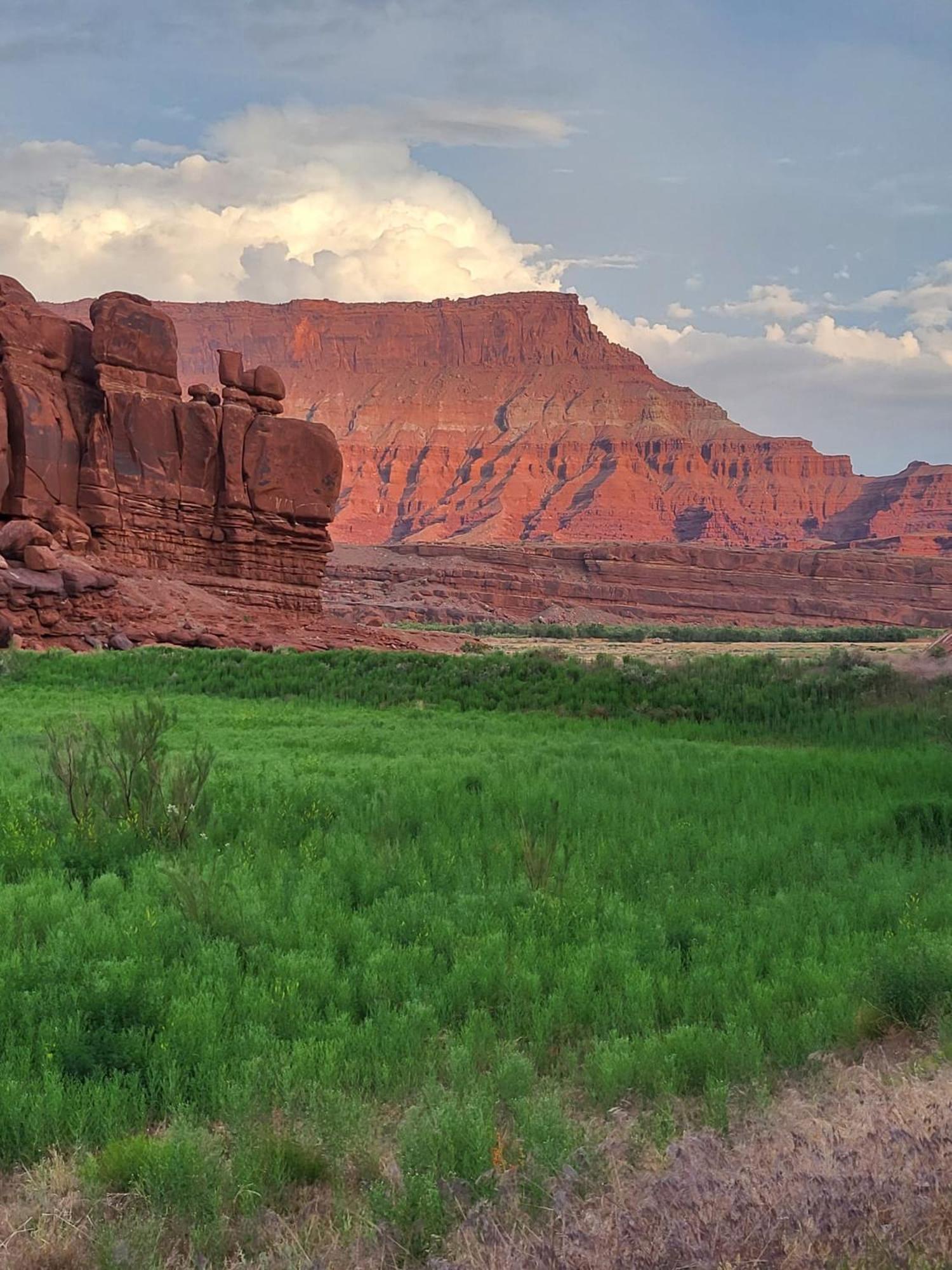 Primal Campsite Moab