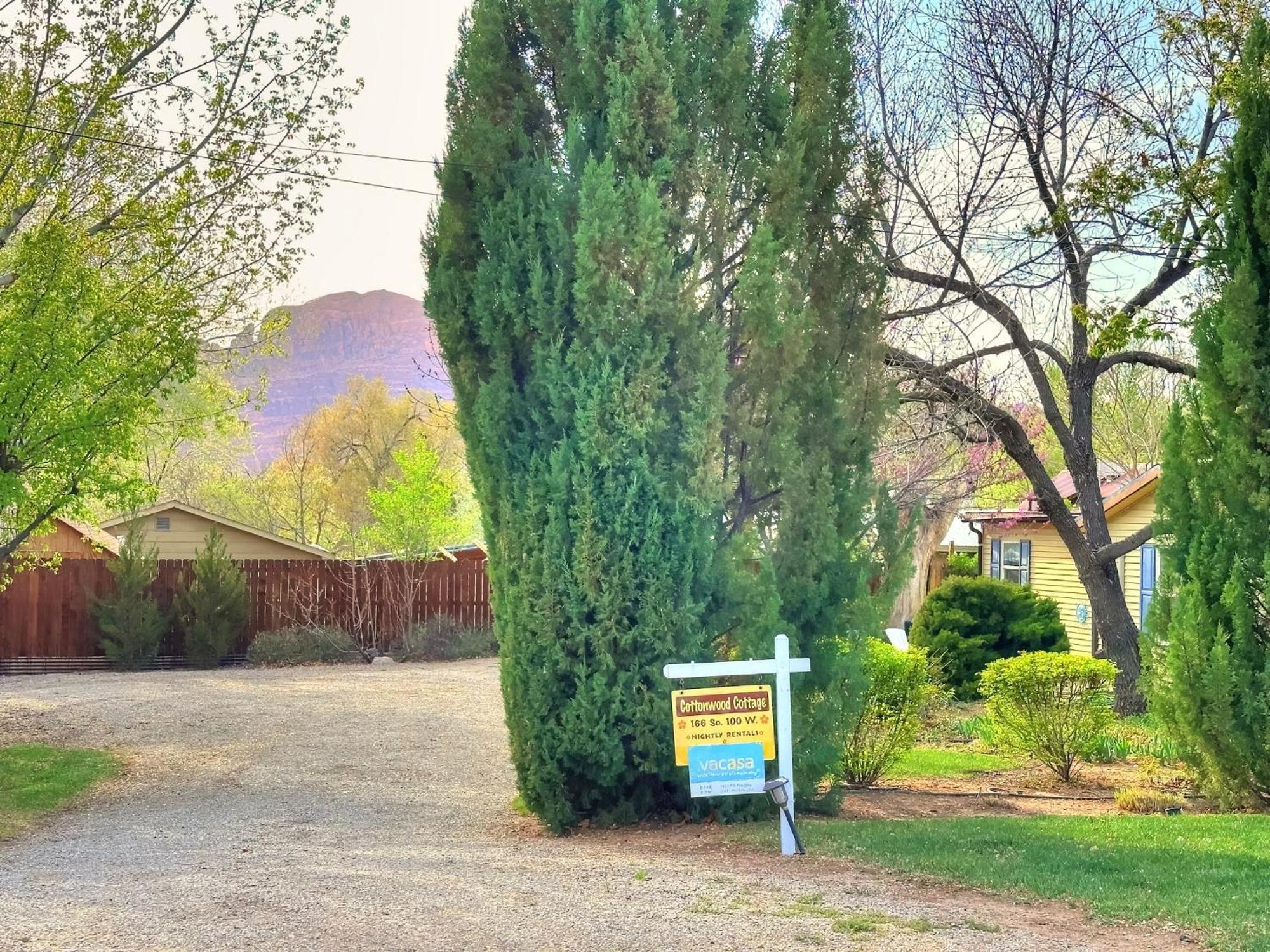 Cottonwood *