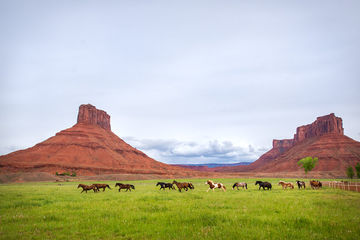 Hotel Sorrel River Ranch & Sp Moab