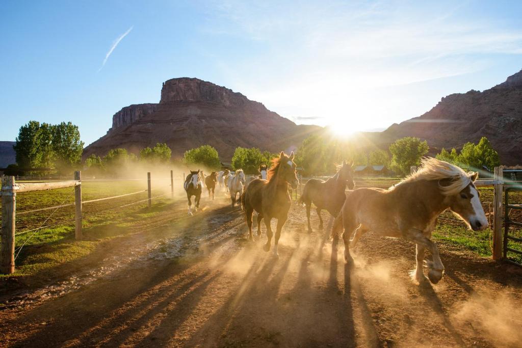 Sorrel River Ranch & 4* Moab