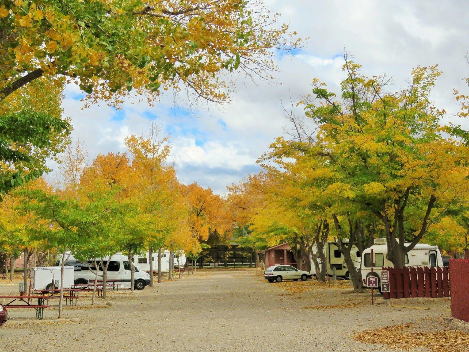 Campsite Sun Outdoors Downtown Moab