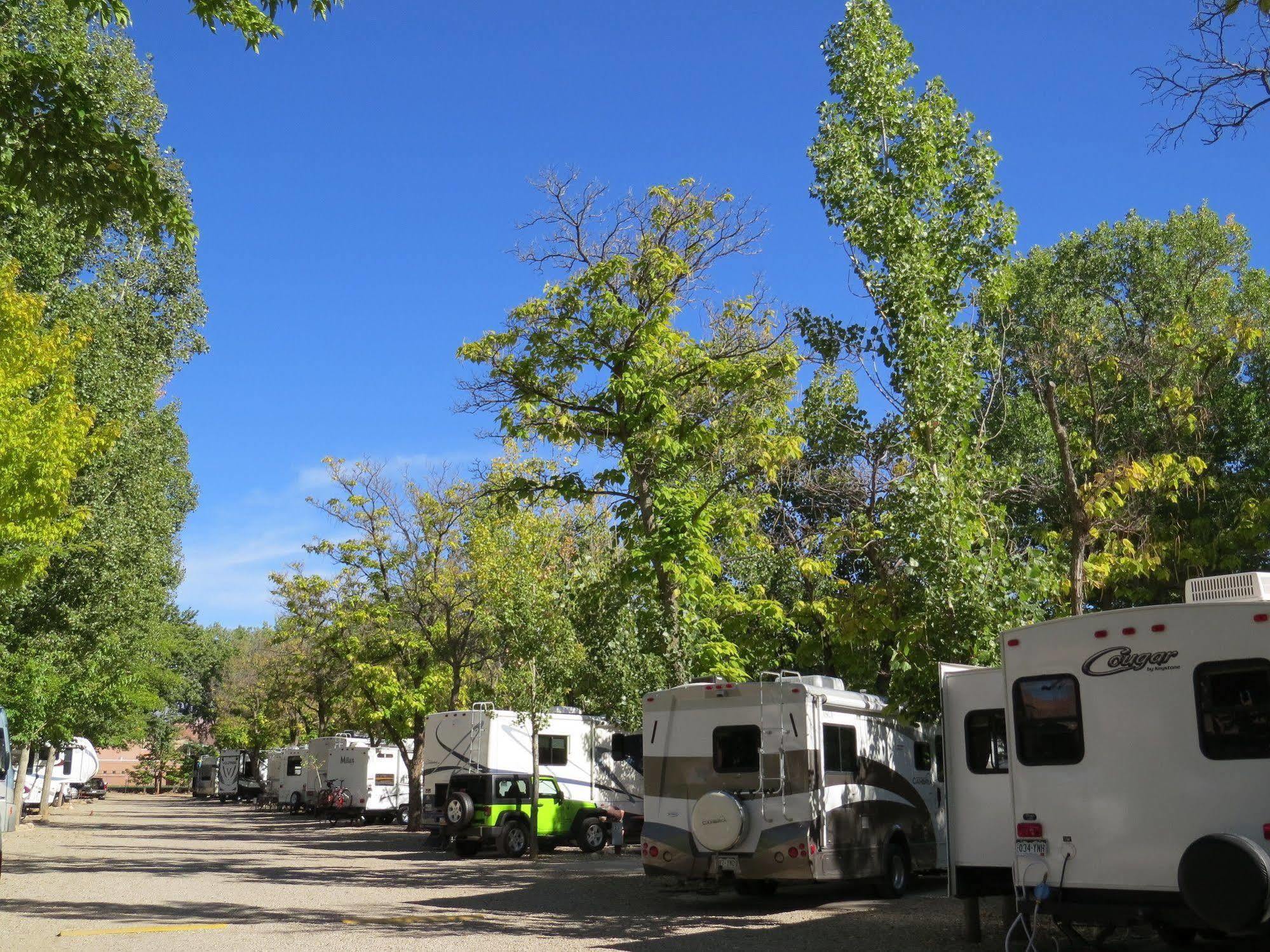 Campsite Sun Outdoors Downtown