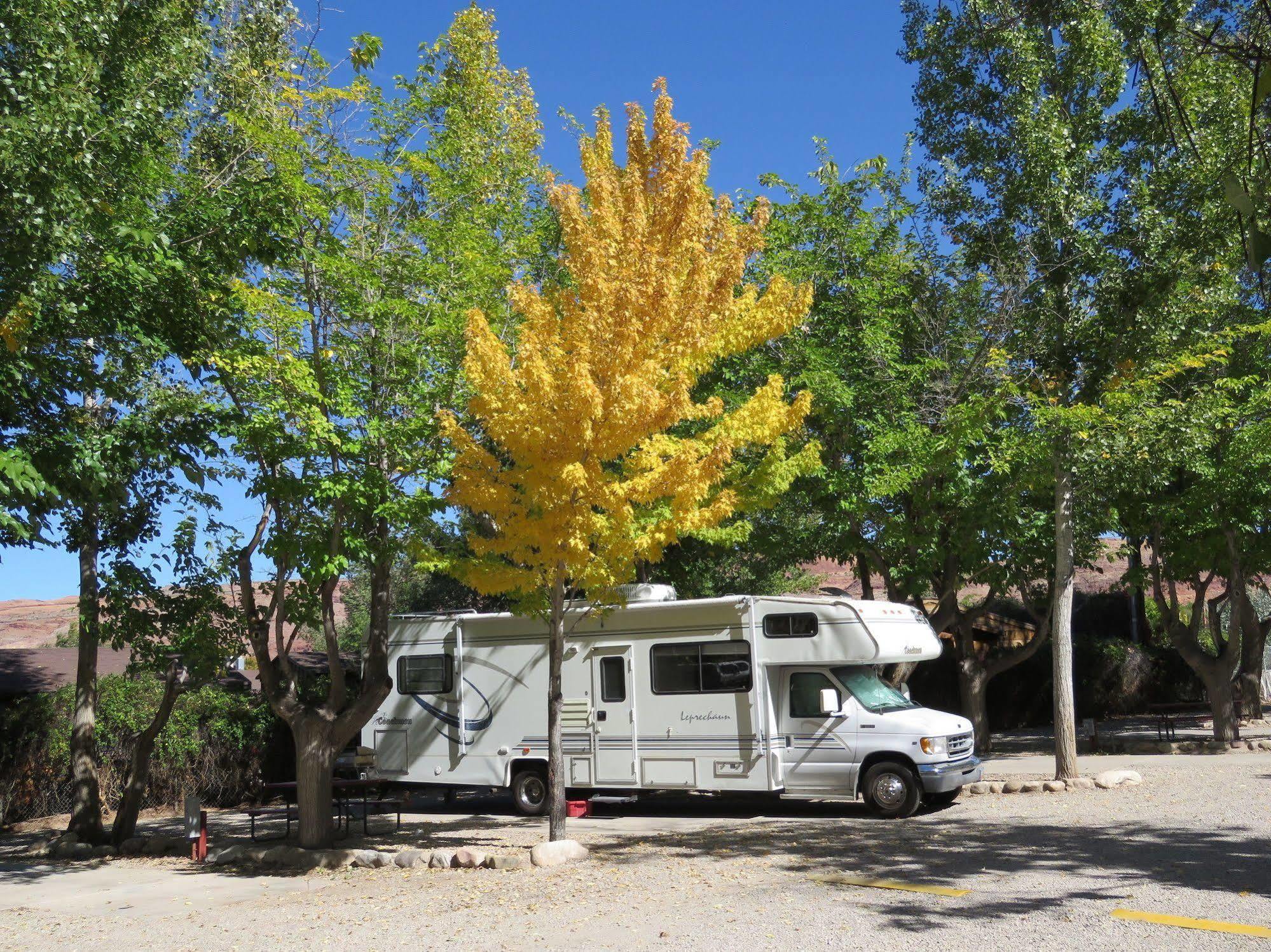 Campsite Sun Outdoors Downtown