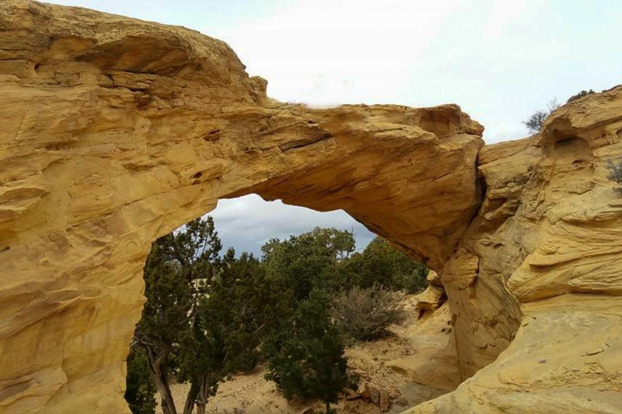Rim Village N1 * Moab