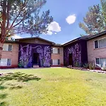 Downtown Cozy Home Base - Purple Sage 1