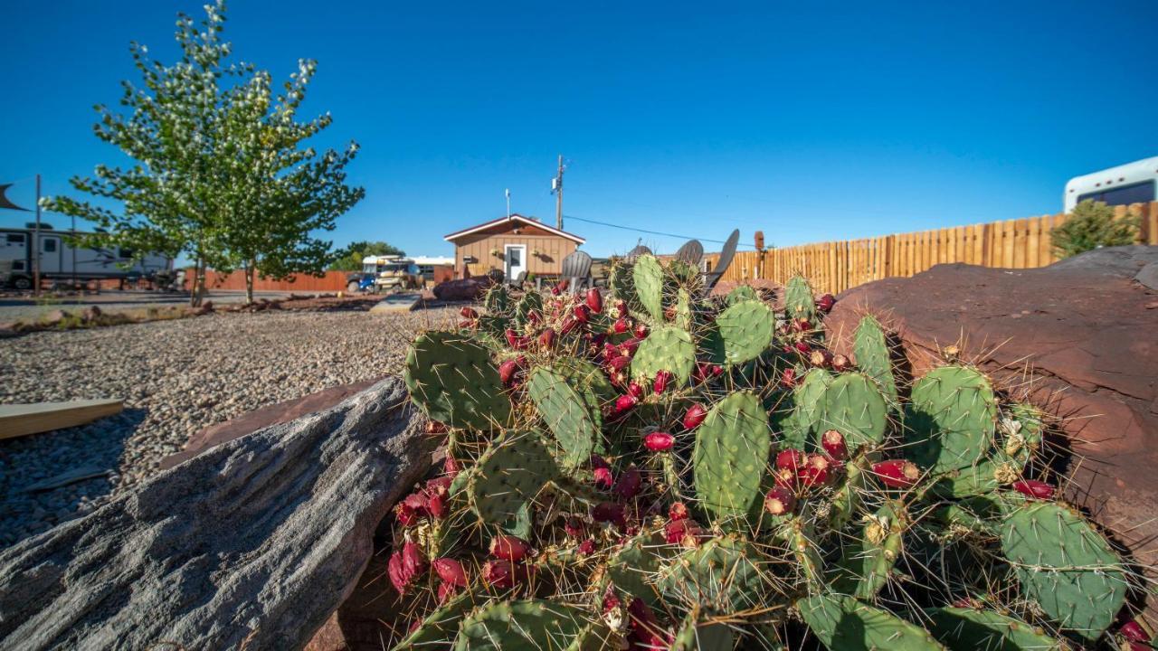 Holiday home Funstays Glamping Tiny House W Large Loft Site 8