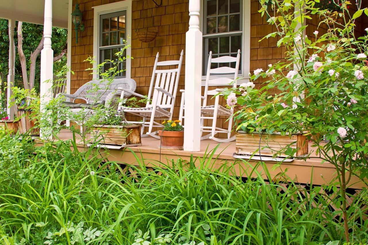 Bed & Breakfast Sunflower Hill